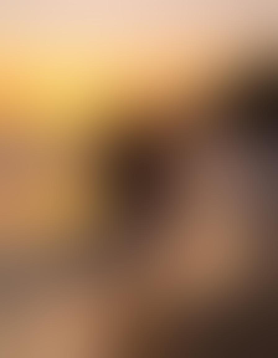 A serene outdoor scene depicting diverse individuals of all body types embracing naturism by a tranquil beach at sunset. Vibrant colors reflect the warmth of the sun, with soft waves gently lapping at the shore. People are joyfully connecting with nature, showcasing confidence and freedom in their natural forms. The atmosphere embodies tranquility and acceptance, inviting viewers to feel empowered and content. painting. warm color palette.